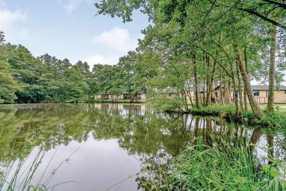 Warren Wood Country Park East Sussex
