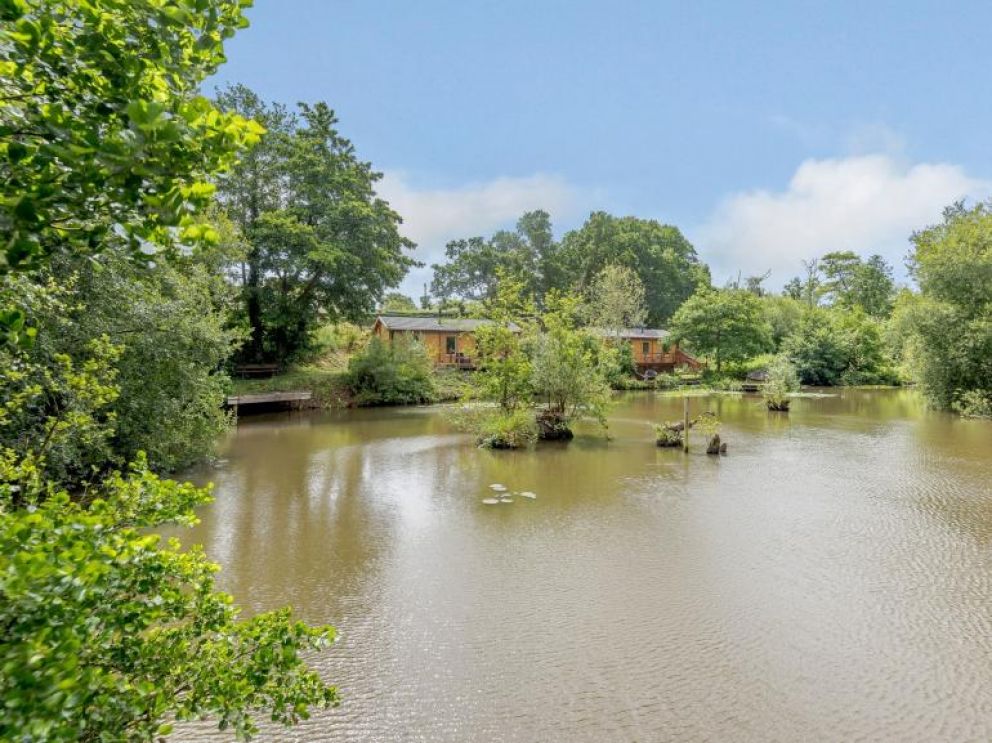 Willow Pond Lodge in Sandown - for rent, pet friendly, close to the sea