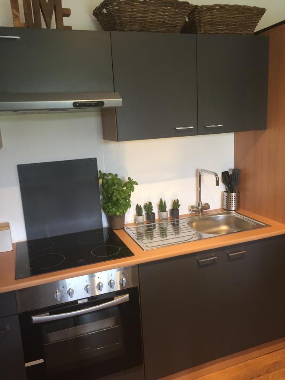 Windsor Garden Lodge near Legoland, Windsor at Willow Court Farm - for rent