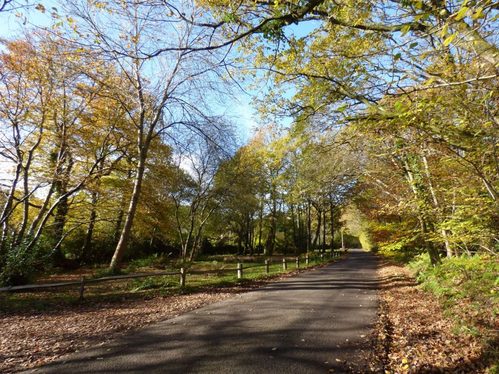 Woodmancote lodge West Sussex