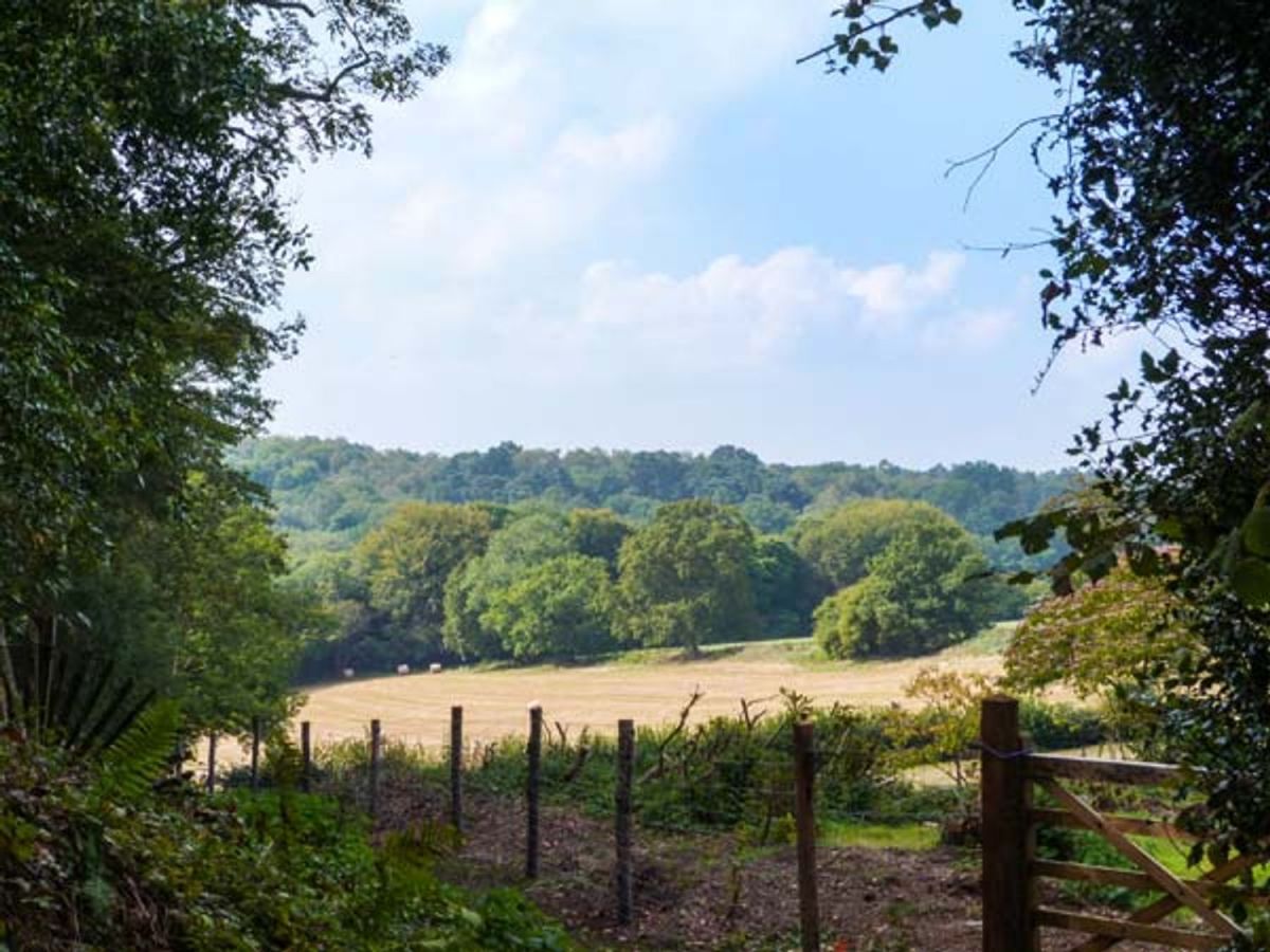 Woodmancote lodge Haslemere, West Sussex Self Catering Holiday Lodges