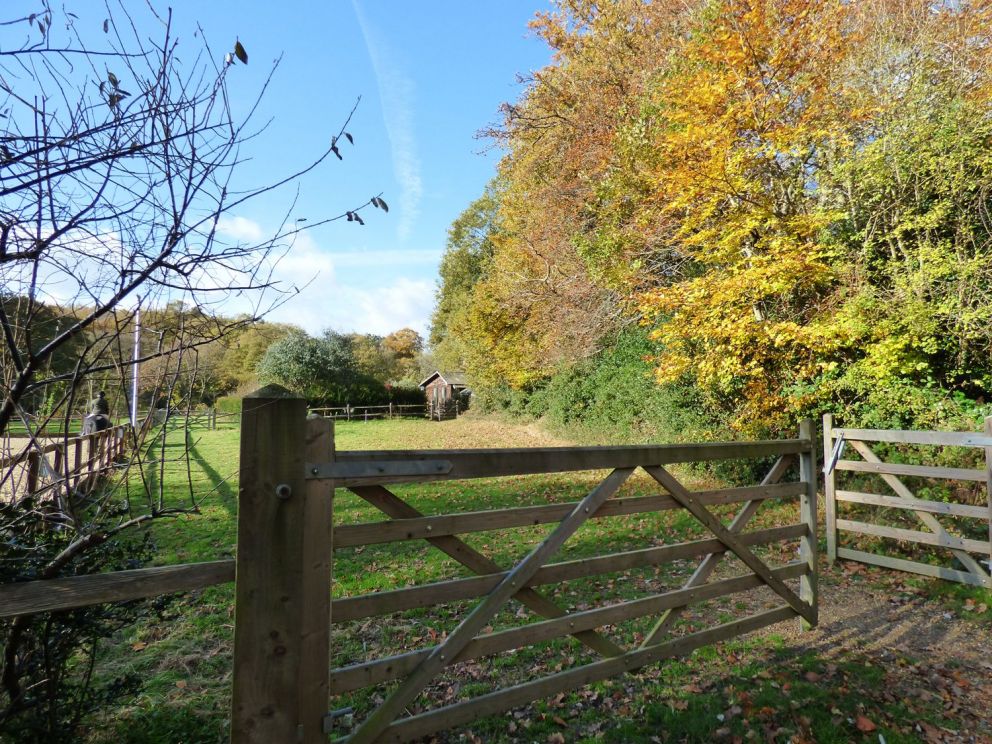 Woodmancote lodge West Sussex