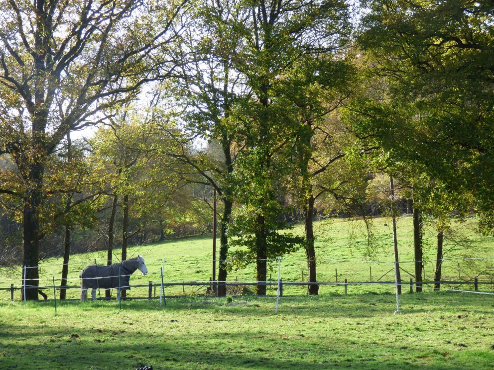 Woodmancote lodge West Sussex