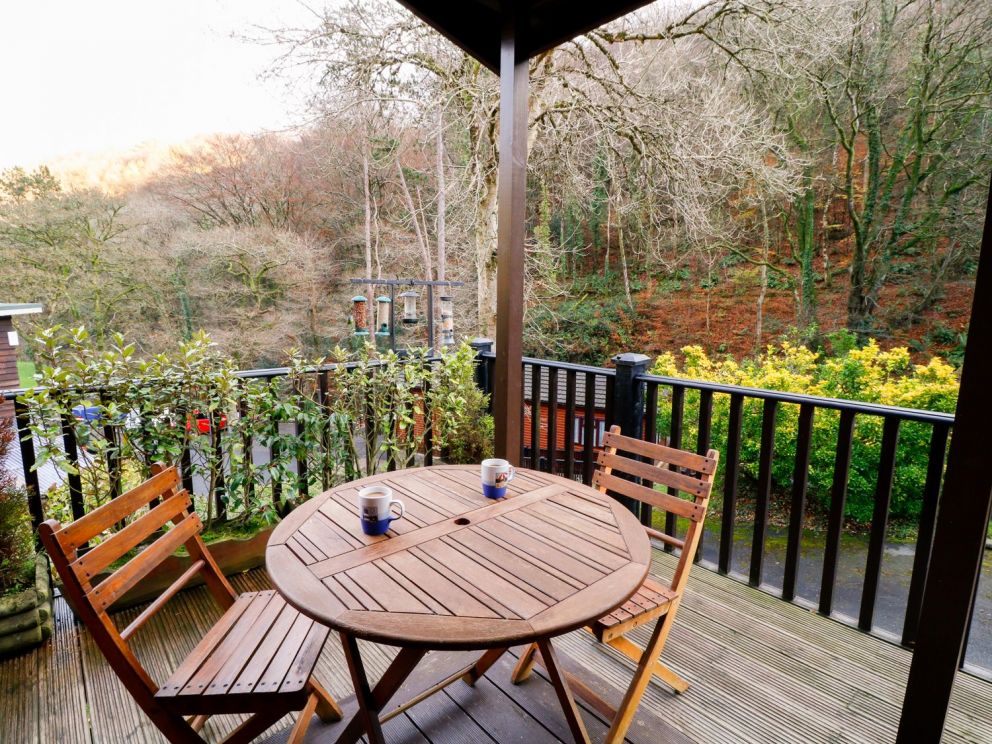 22 Two Little Ducks Devon