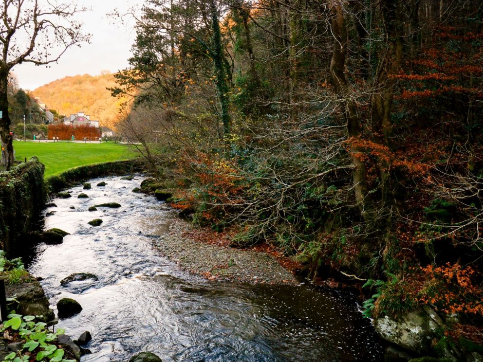 22 Two Little Ducks Devon