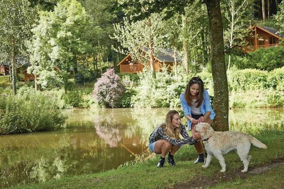Bulworthy Forest Lodges Devon pet friendly