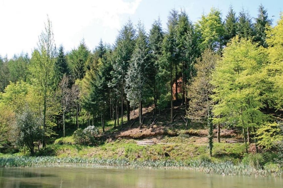Bulworthy Forest Lodges devon fishing cabins