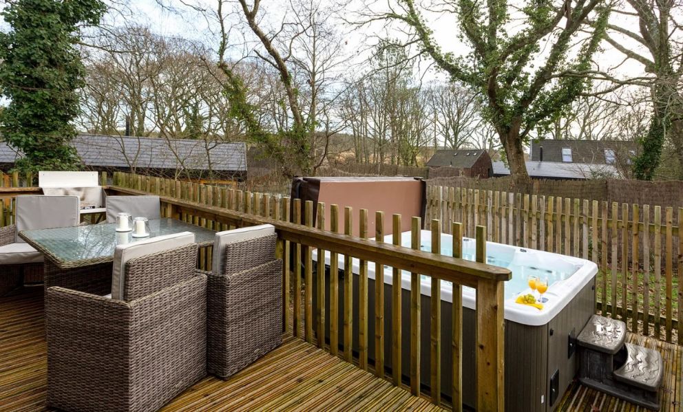 Burnbake Forest Lodges Dorset