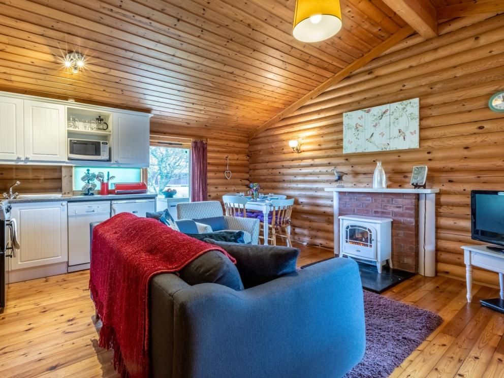 Cabins at Clovelly Lakes - lakeside lodges for rent. Open plan lounge with electric fire