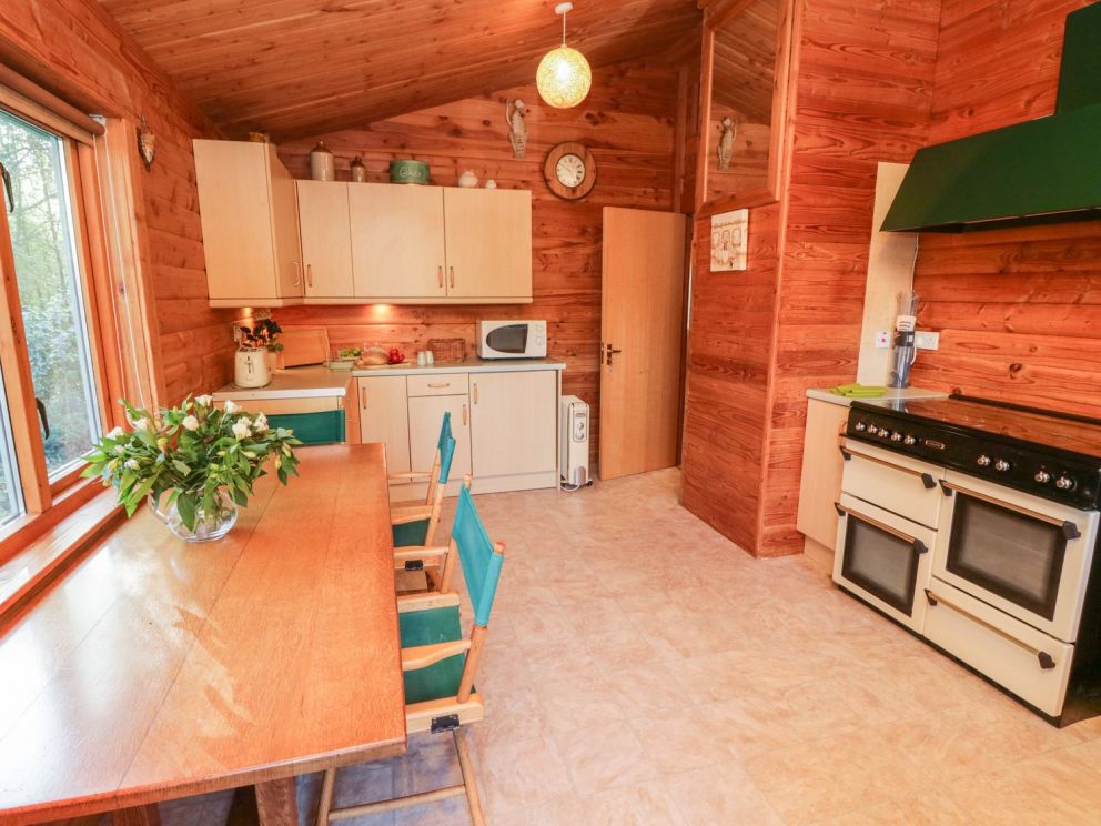 Camellias at Magnolia Lake Devon