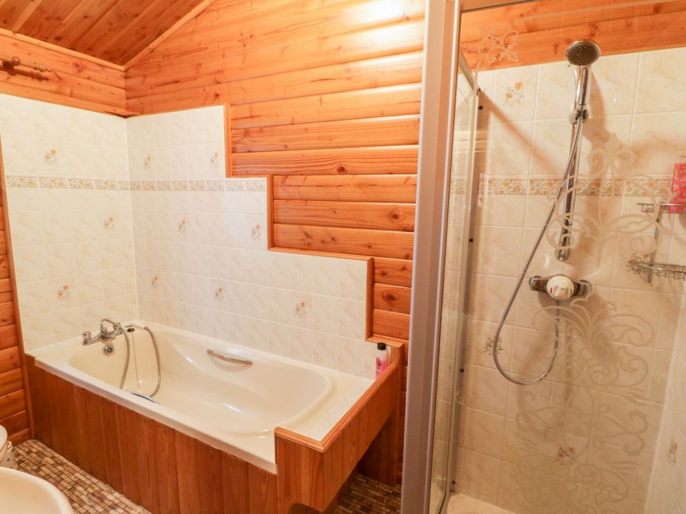 Camellias at Magnolia Lake Devon