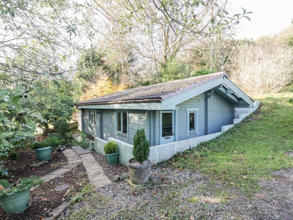 Camellias at Magnolia Lake Devon