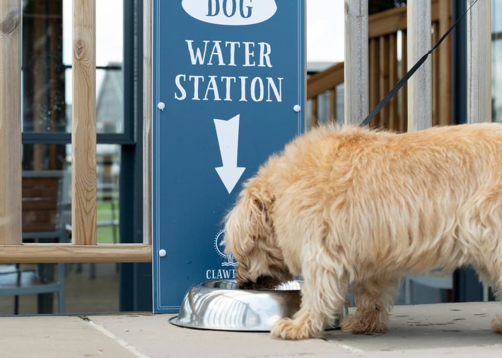 Clawford Lakes Resort and Spa North Devon