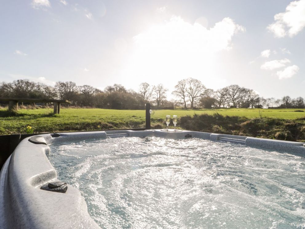 Deer lodge at Chapel Lodges Dorset