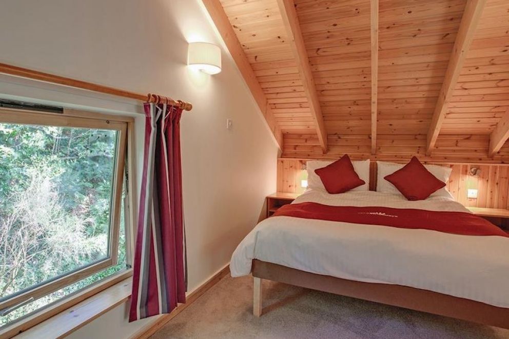 Deerpark Forest Cornwall 