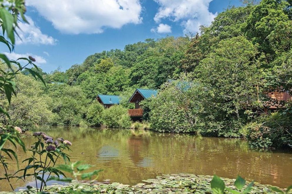Deerpark Forest Cornwall Lakeside Forest Lodges