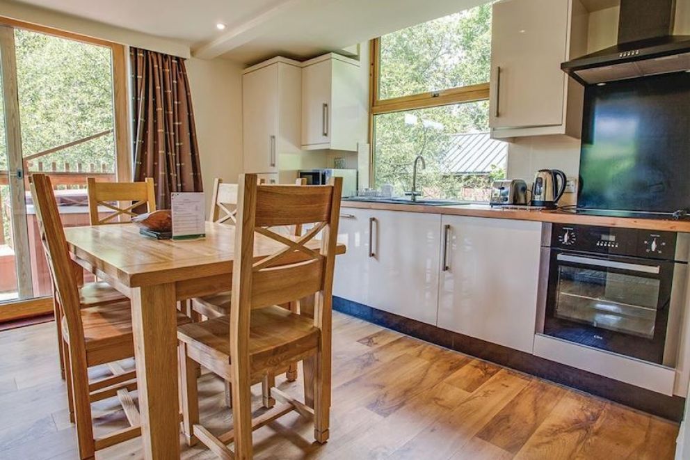 Deerpark Forest Cornwall 