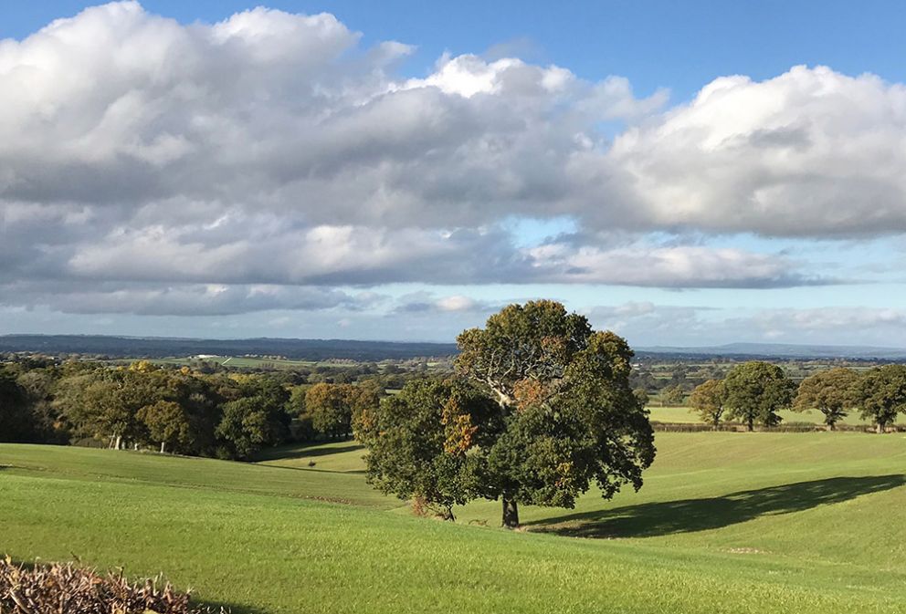 Dorset Eco Retreats with hot tubs