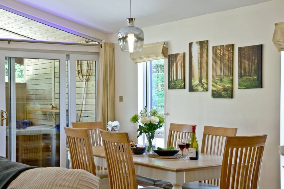 Haldon Forest Lodge Devon