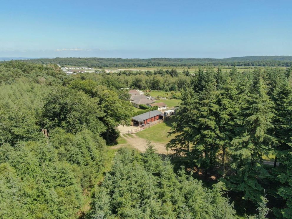 Haldon Forest Lodge Devon