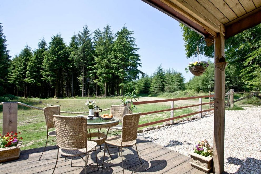 Haldon Forest Lodge Devon