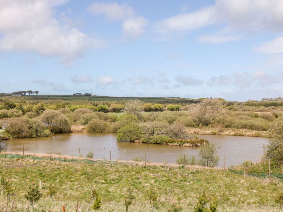 Hartland Forest Lodges Devon