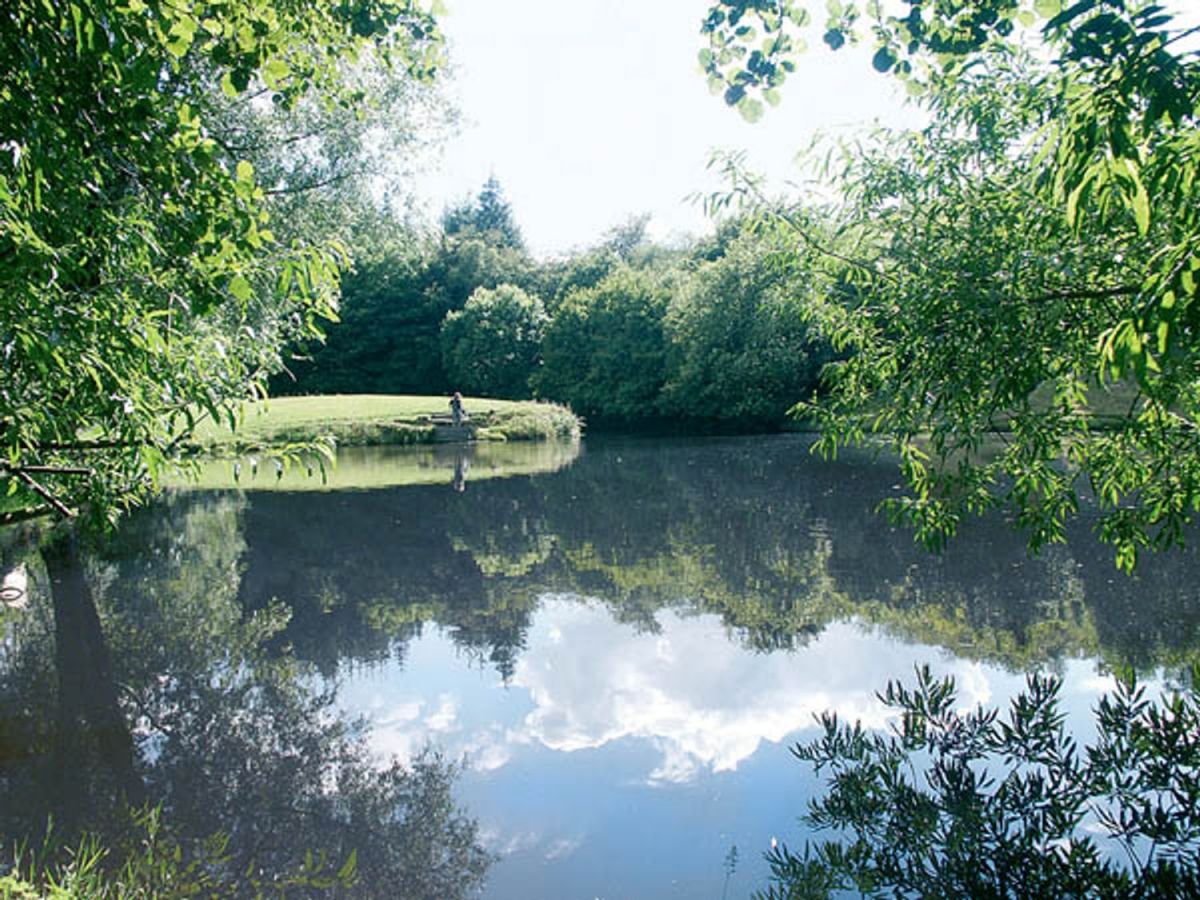 Hollies Trout Farm Honiton, Devon Self Catering Holiday Lodges