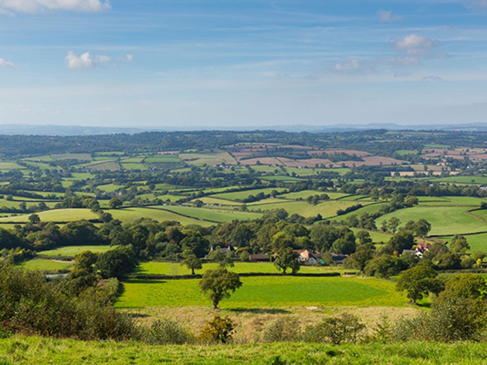 Hollies Trout Farm Devon