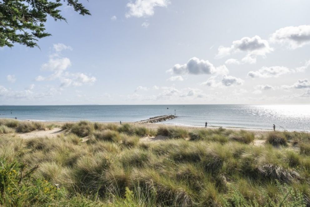 Hook Sands Sandbanks