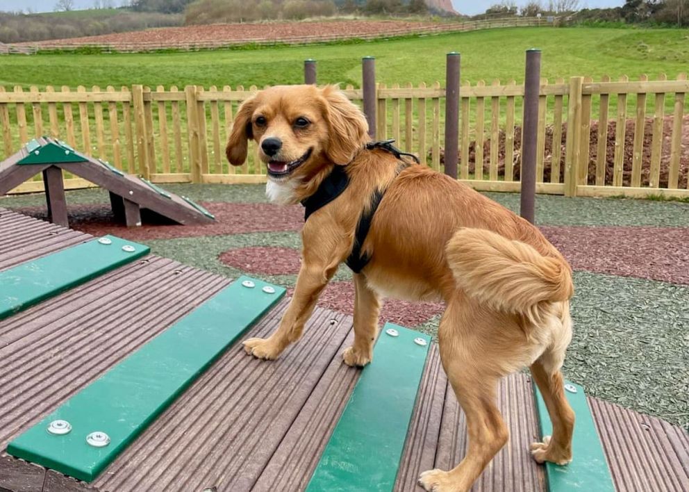 Ladram Bay Holiday Park South Devon