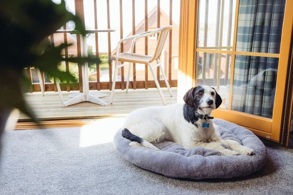 Landal Gwel an Mor Cornwall pet friendly lodges