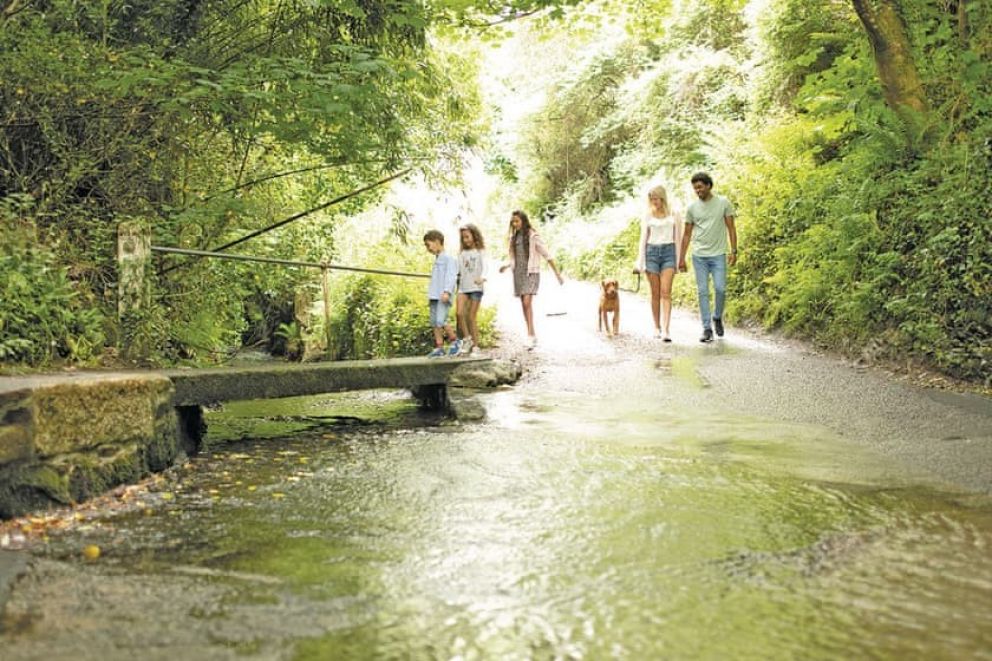 Leycroft Valley Cornwall pet friendly lodges