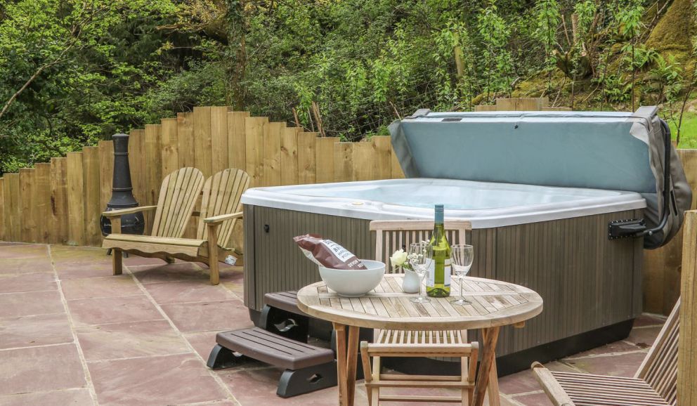 Little Silver Fox Devon