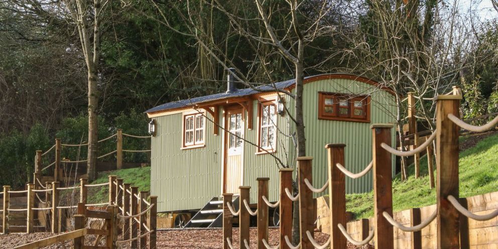 Little Silver Fox Devon