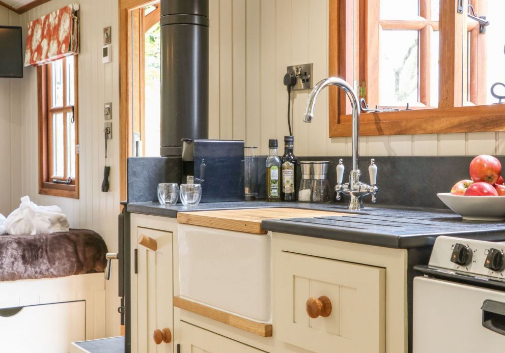 Little Silver Fox Devon