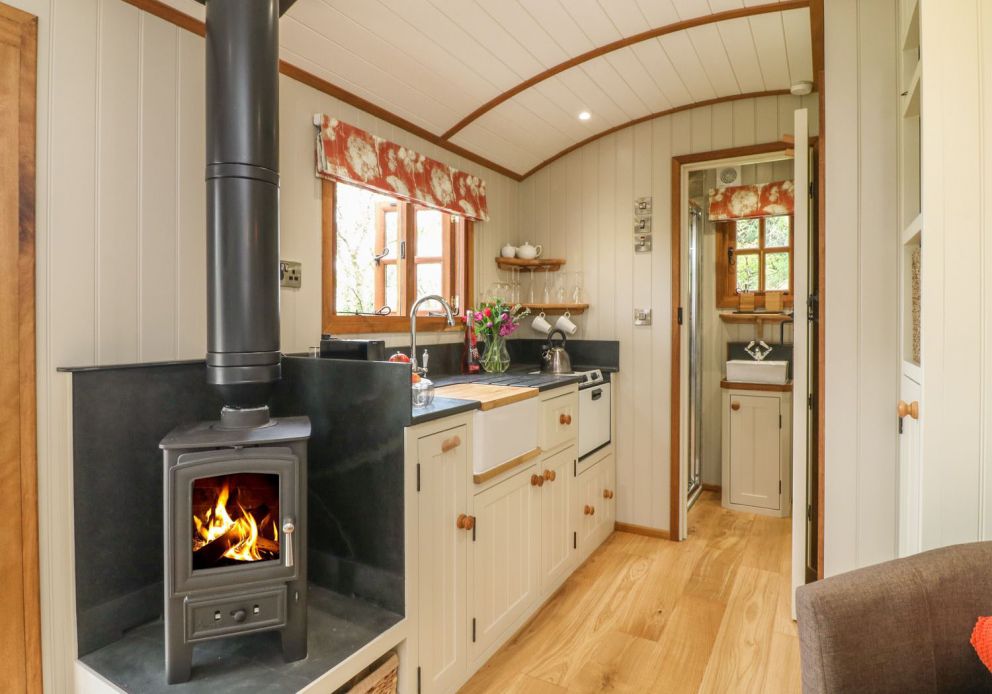 Little Silver Fox Devon