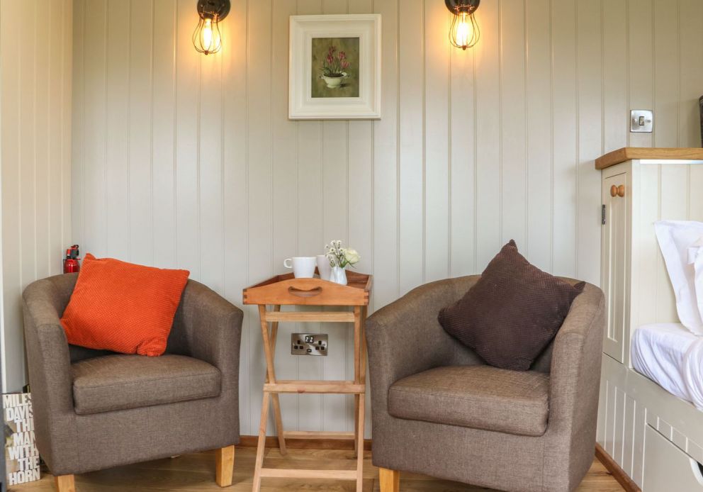 Little Silver Fox Devon