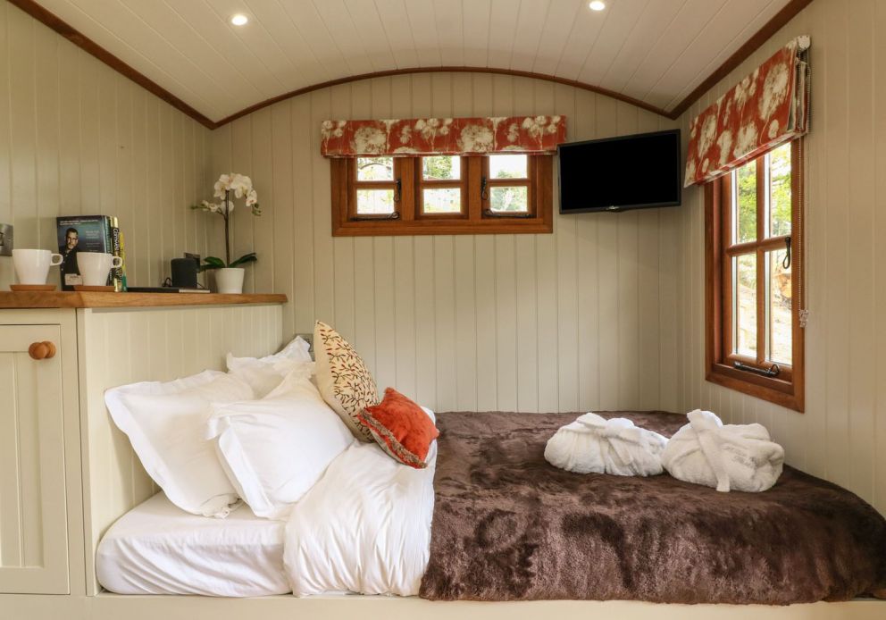 Little Silver Fox Devon