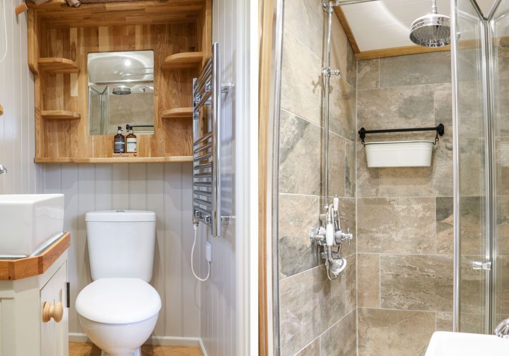 Little Silver Fox Devon