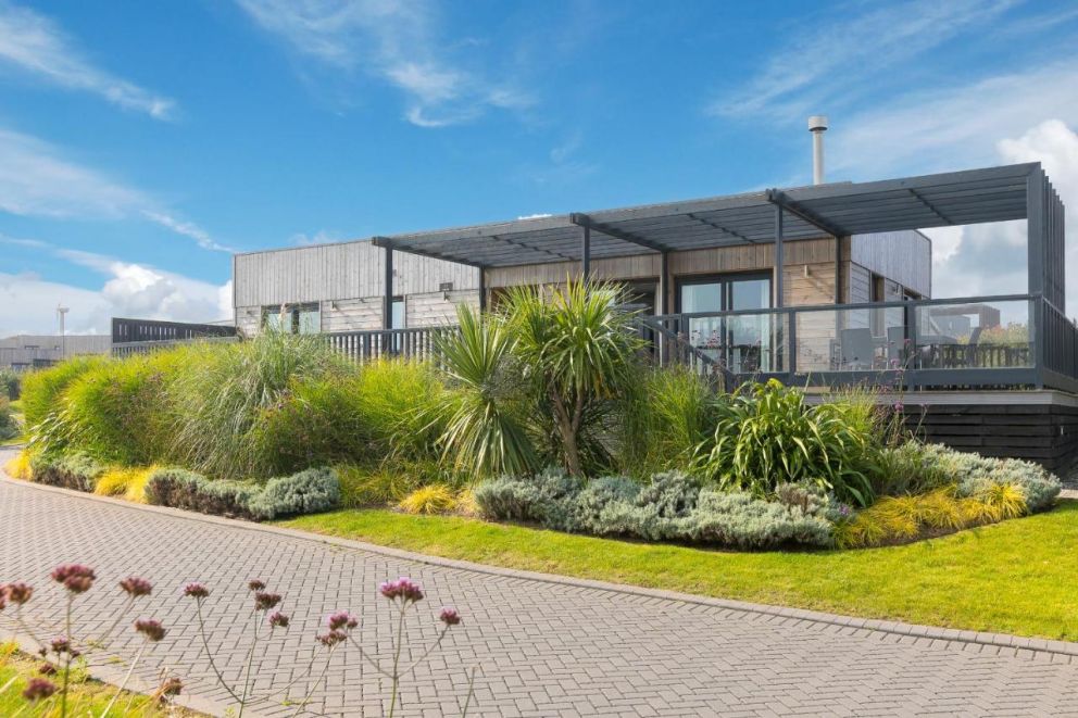 Magnolia at Gwel An Mor Cornwall