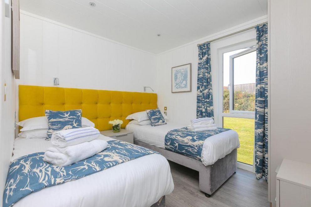 Magnolia at Gwel An Mor Cornwall