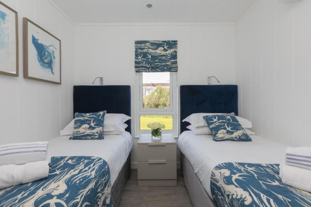 Magnolia at Gwel An Mor Cornwall