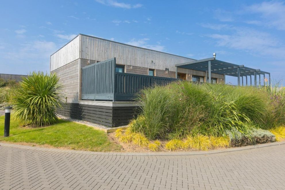 Magnolia at Gwel An Mor Cornwall