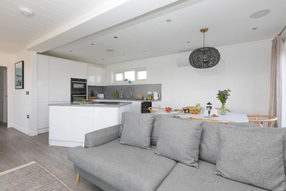 Magnolia at Gwel An Mor Cornwall