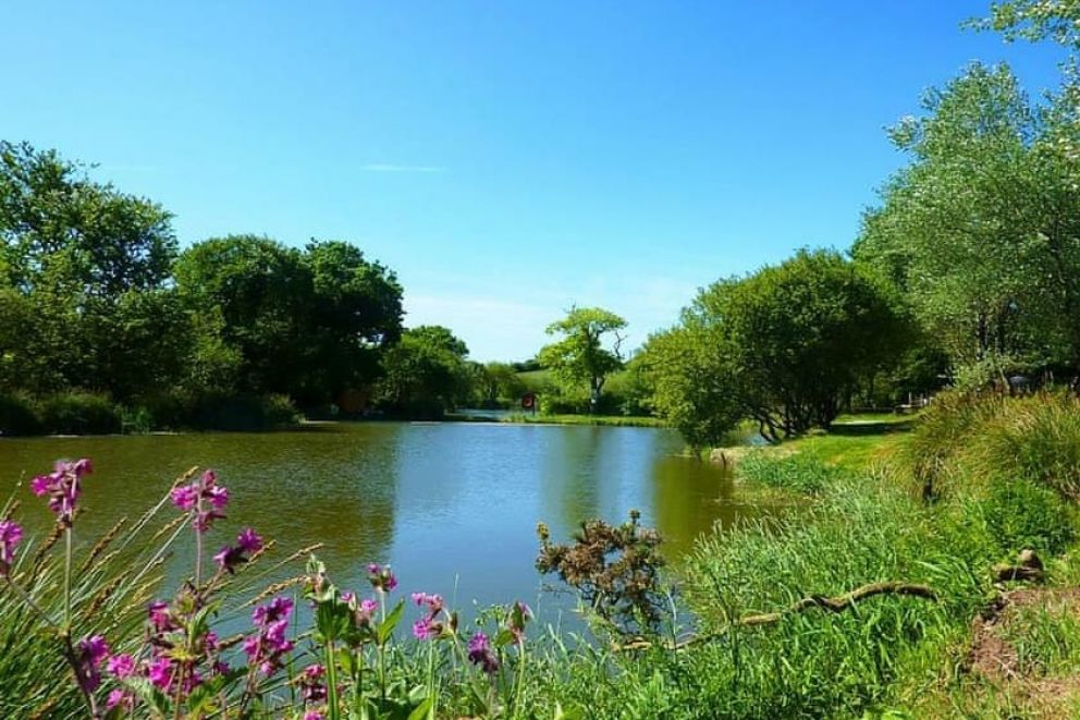 Meadow Lakes Holiday Park Cornwall fishing lodges
