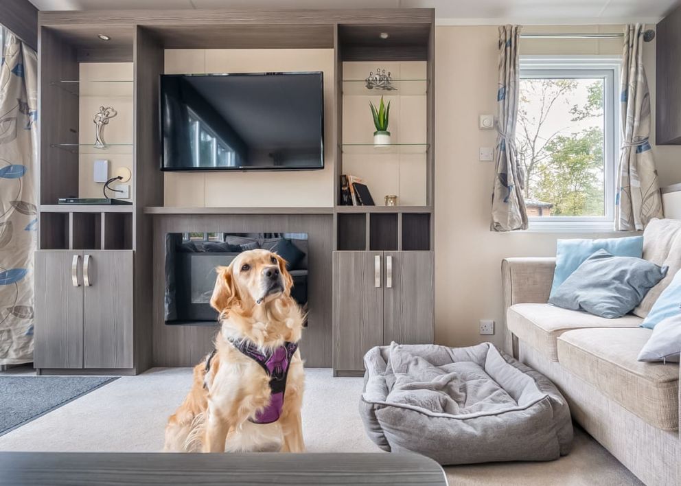 Mendip View at Wookey Hole