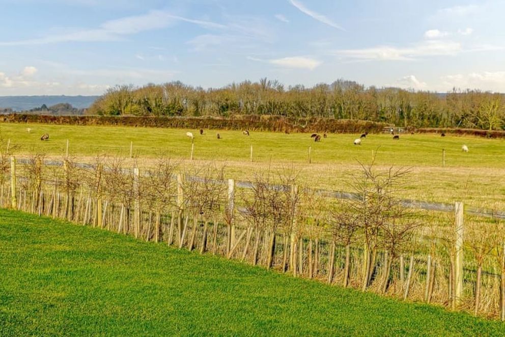 New Oaks Farm Lodges Somerset