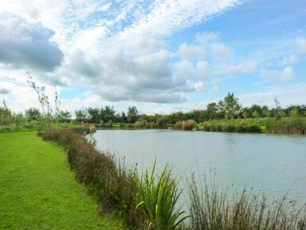 New Orchard Farm Somerset