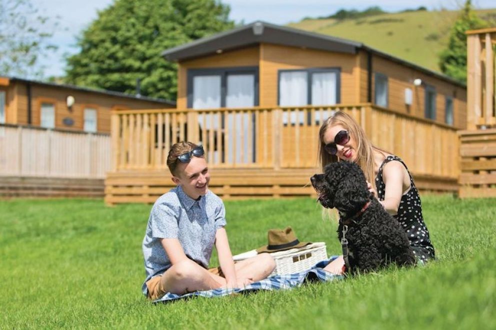 Primley Meadow Devon