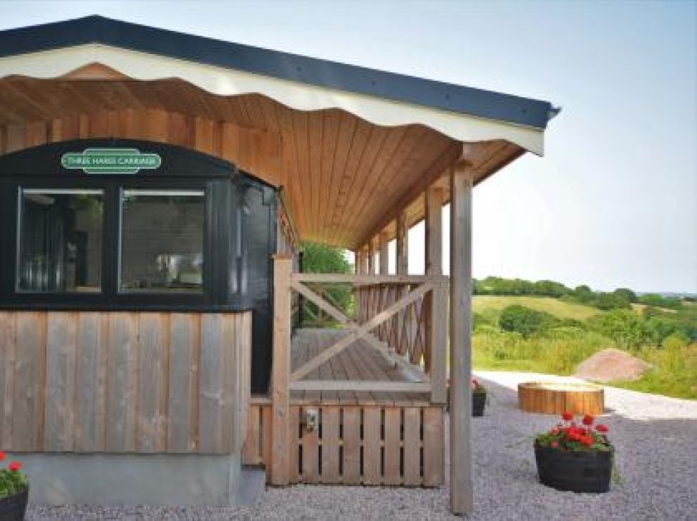 Railway Carriage Cabin in Longdown, Exeter - renovated railway carriage for rent in the countryside